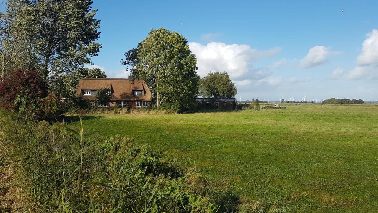 Ferienwohnung Diekblick - Kleiner Deichhof Hattstedtermarsch Exterior foto